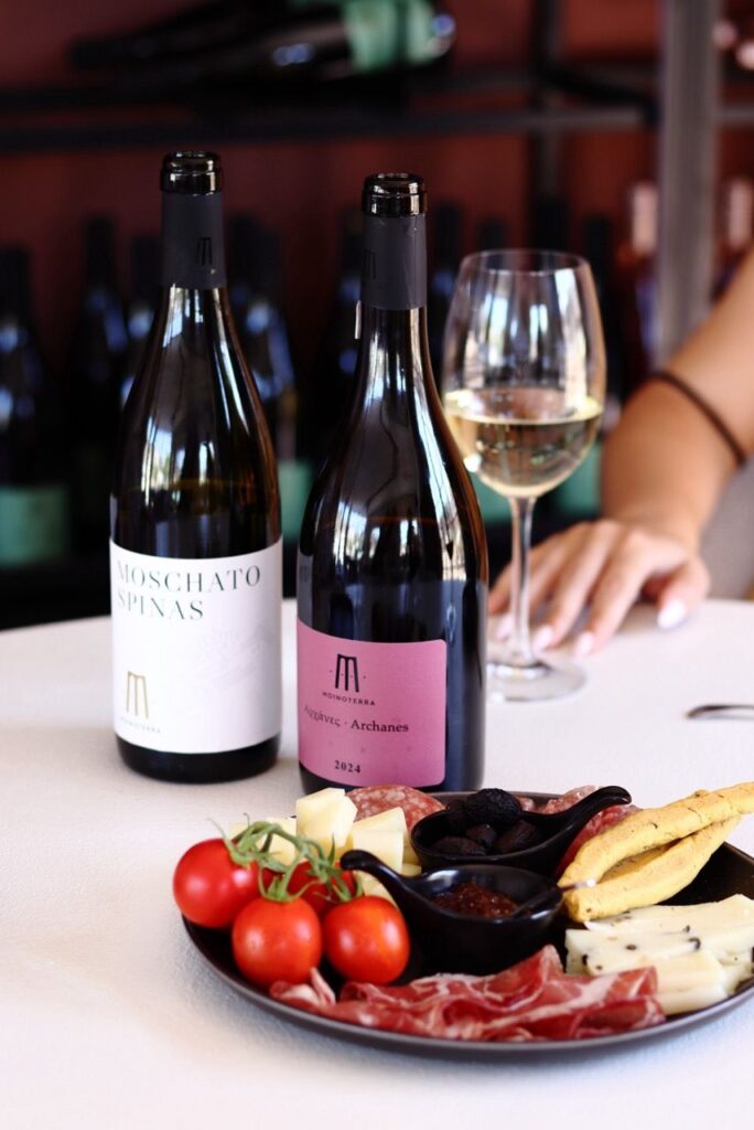 moinoterra photo 4.jpeg